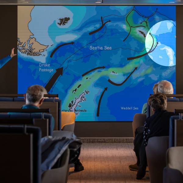 船只一览 (Ships at a Glance)