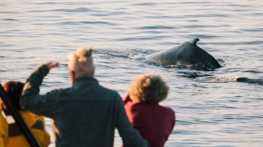 船只一览 (Ships at a Glance)