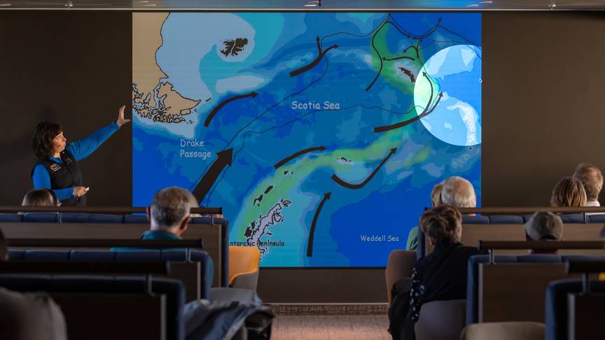 船只一览 (Ships at a Glance)