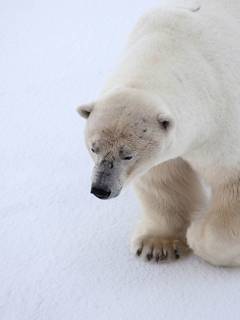 Photo Credit: Samantha Crimmin, 2015.