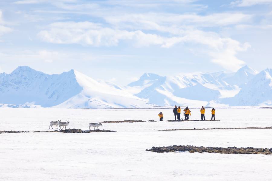 斯瓦尔巴探险：挪威高纬度北极最美去处