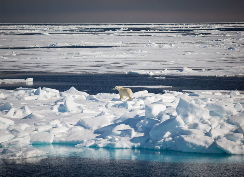 斯瓦尔巴探险：挪威高纬度北极最美去处