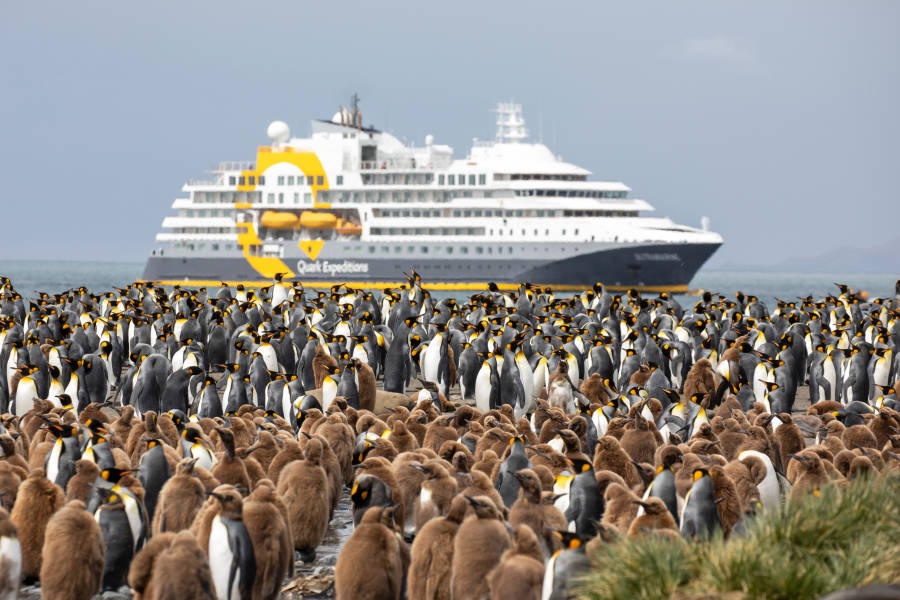 A waddle of penguins in the foreground, with an expedition ship anchored in the waters of the background