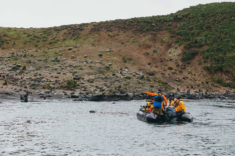 An expedition guide points out to guests some fur seals on land while Zodiac cruising.