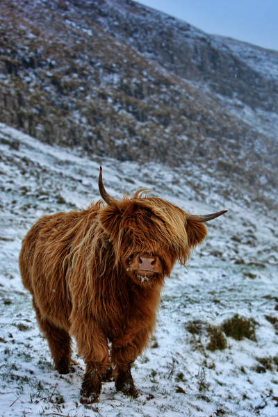 北极传奇：经由法罗群岛和扬马延岛探索斯匹次卑尔根