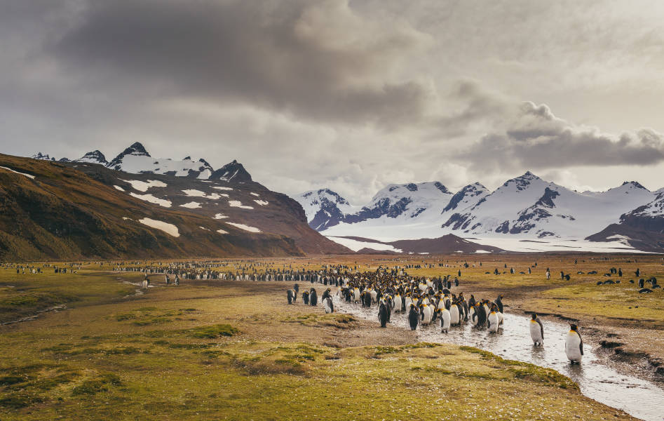 Photo by David Merron