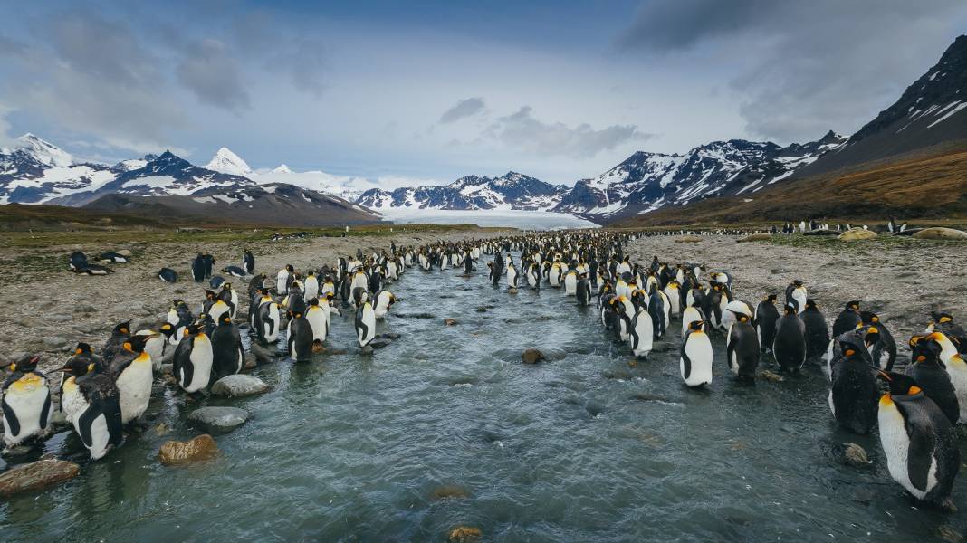 Photo by David Merron