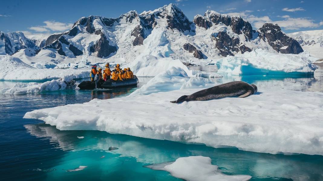 Photo by David Merron