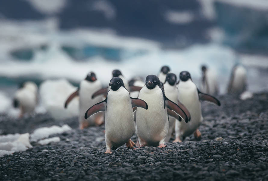 Photo by David Merron