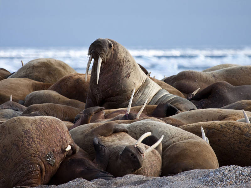 Photo by Quark traveller