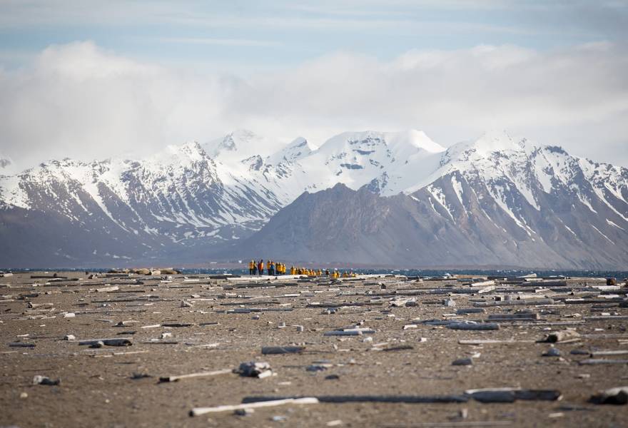 Photo by Acacia Johnson