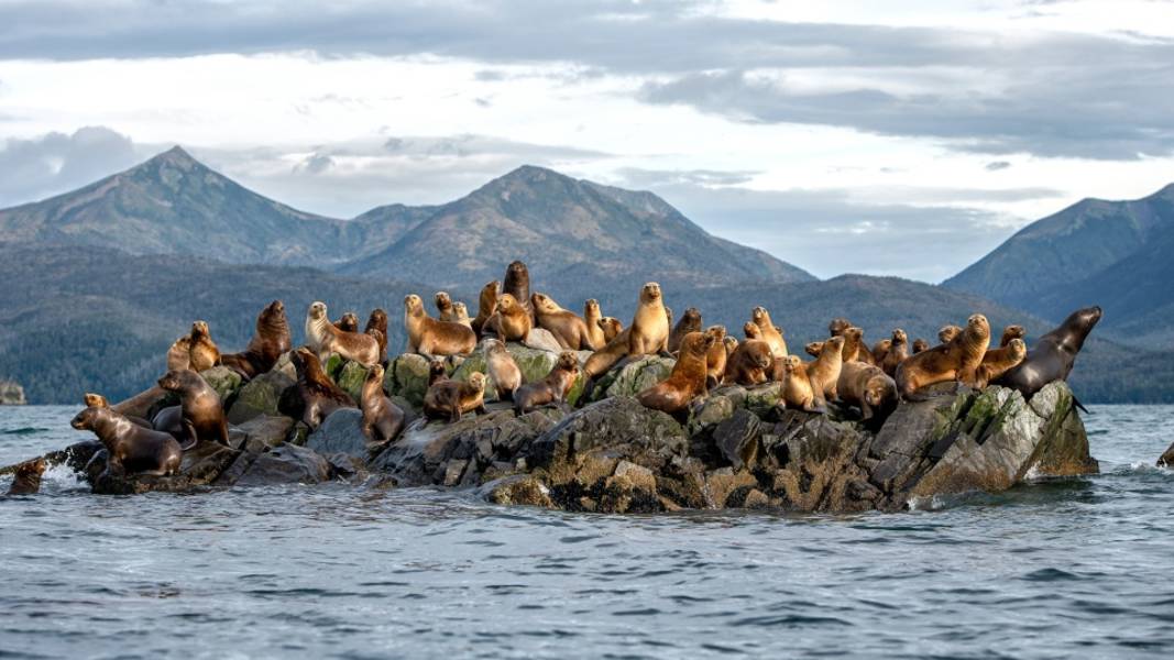 巴塔哥尼亚精选探险之旅：智利峡湾和百内国家公园