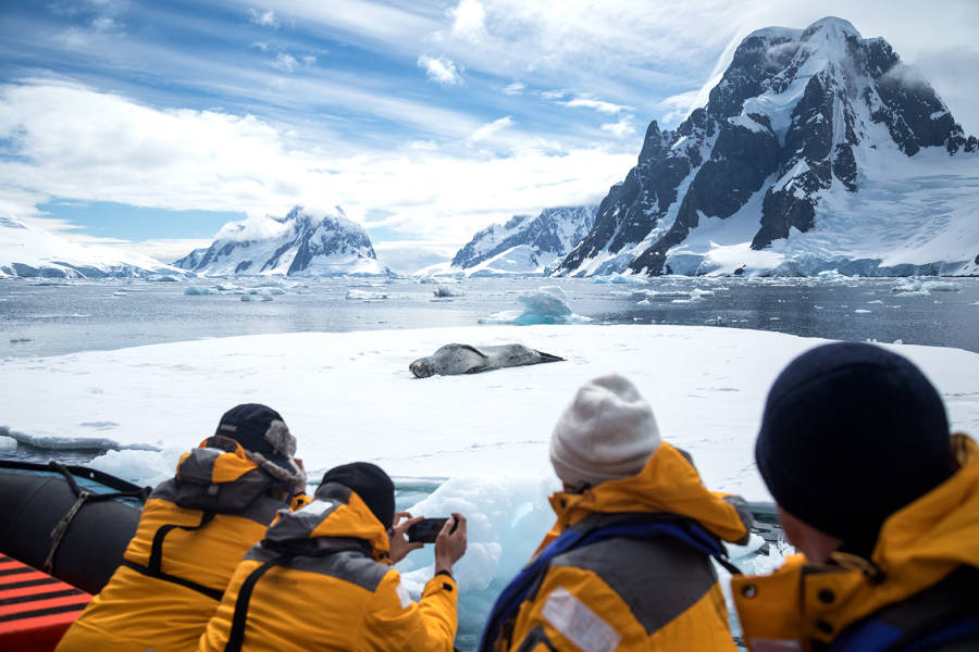 Four guests in yellow parkas look towards a Leopard seal resting on sea ice.