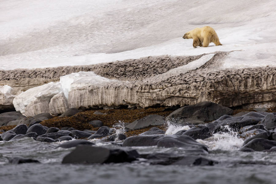 斯瓦尔巴群岛 (Svalbard)