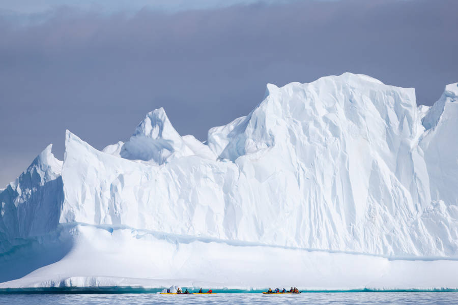 南极海洋哺乳动物：鲸与海豹的世界