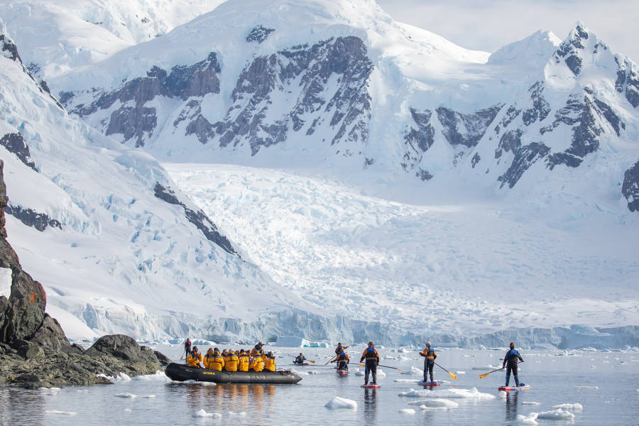 南极海洋哺乳动物：鲸与海豹的世界