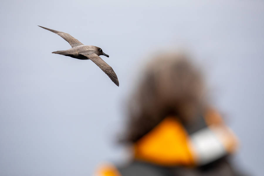 经典南极半岛：穿越极圈