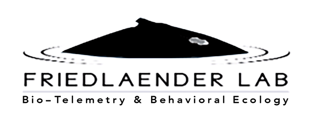 科学与探索 (Science and Discovery)