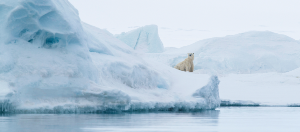 关于我们 (About Us)