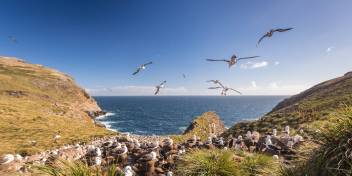 福克兰群岛（Falkland Islands）