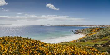 福克兰群岛（Falkland Islands）