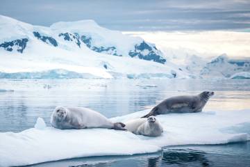 探险行程 (Expeditions)