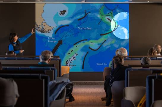 科学与探索 (Science and Discovery)