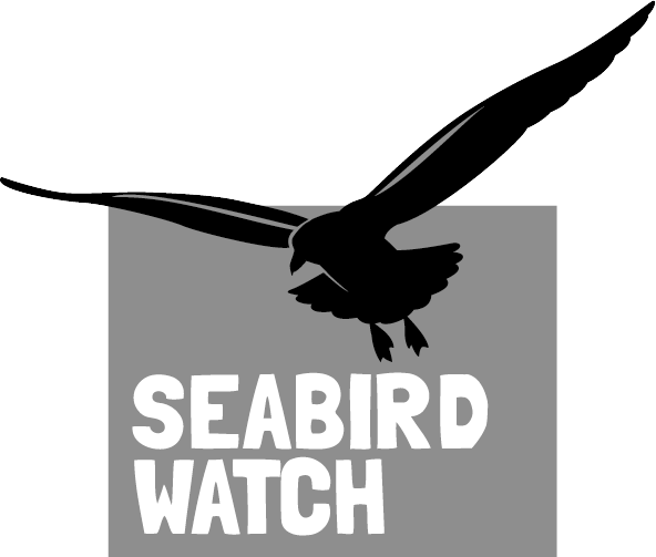 科学与探索 (Science and Discovery)