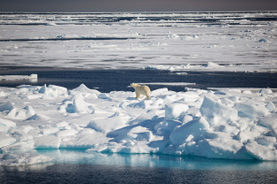 斯瓦尔巴探险：挪威高纬度北极最美去处