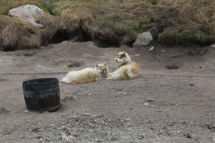 西北航道：传奇北极海上航线