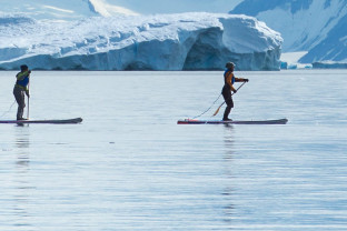 Three guests on their standup paddleboards paddle through calm waters in Antarctica.