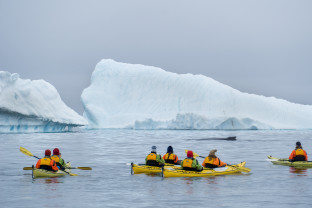 Guests kayak in the waters of the Antarctica Peninsula. Icebergs are seen in the distance.
