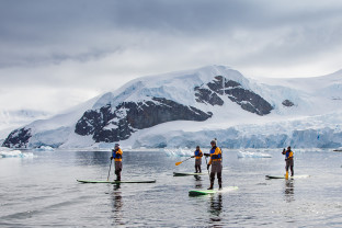 Four guests on their standup paddleboards paddle through calm waters in Antarctica.