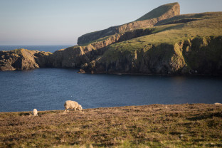 Arctic Saga: Exploring Spitsbergen via the Faroes and Jan Mayen