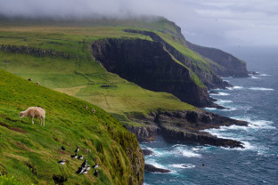 Grassy cliffs of the Faroe Islands.