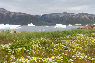Zodiac Cruising in Greenland