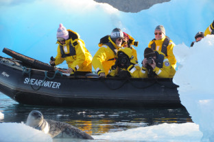 Photo by Amanda Meech