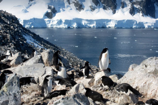 南极捷运：飞越德雷克海峡（飞去船回）