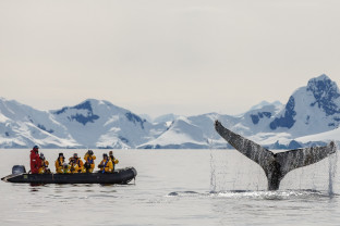 Photo by David Merron