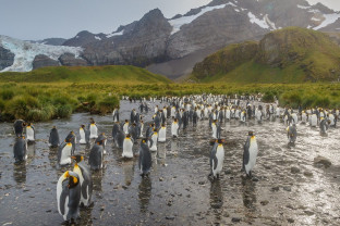 Photo by David Merron