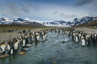 Photo by David Merron