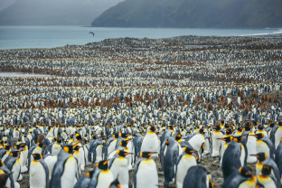 Photo by David Merron