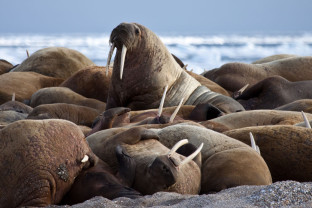 Photo by Quark traveller