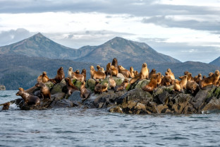 巴塔哥尼亚精选探险之旅：智利峡湾和百内国家公园
