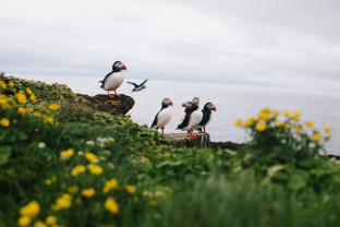 冰岛大环线：直升机、冰川、火山