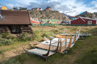 从格陵兰岛到纽芬兰：高山、野生动物、维京历史