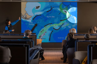 南极海洋哺乳动物：鲸与海豹的世界