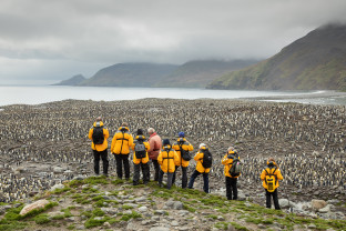 极南地区的企鹅: 福克兰群岛、南乔治亚岛、南极大陆