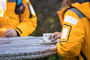 极南地区的企鹅: 福克兰群岛、南乔治亚岛、南极大陆