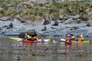 极南地区的企鹅: 福克兰群岛、南乔治亚岛、南极大陆